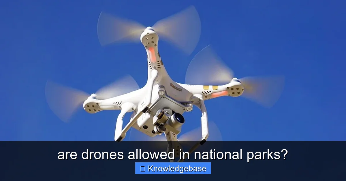 Featured image for are drones allowed in national parks?