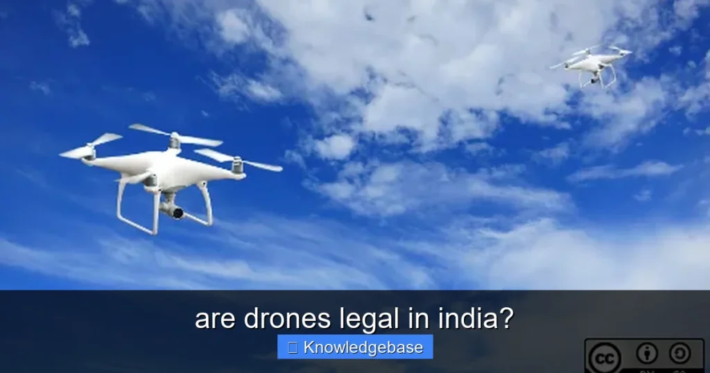Featured image for are drones legal in india?