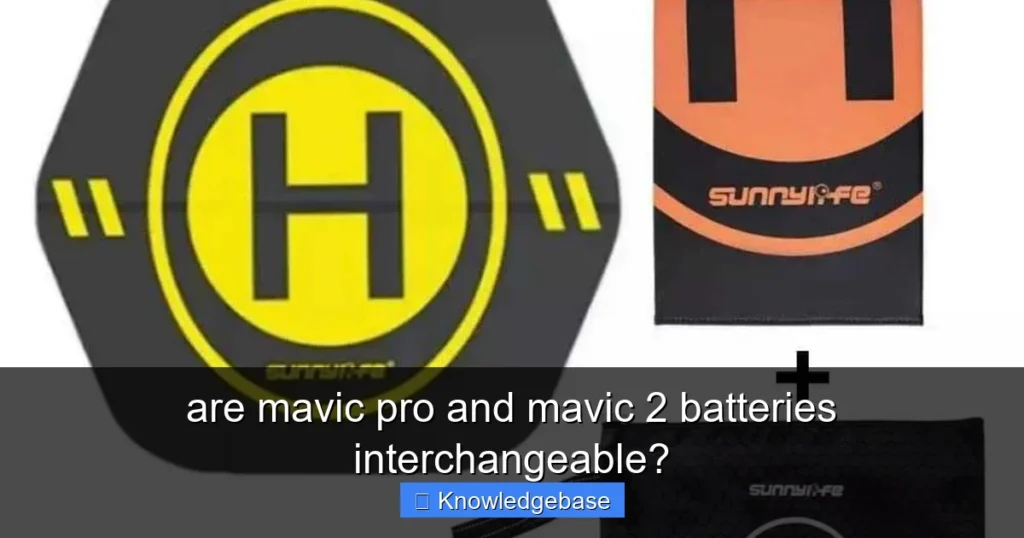 Featured image for are mavic pro and mavic 2 batteries interchangeable?