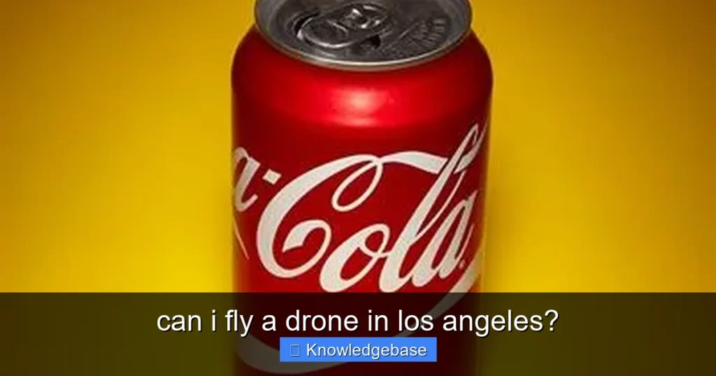 Featured image for can i fly a drone in los angeles?