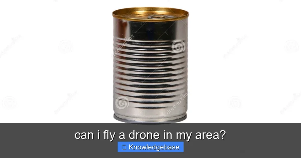 Featured image for can i fly a drone in my area?
