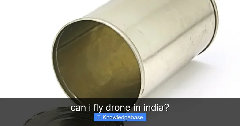 Featured image for can i fly drone in india?