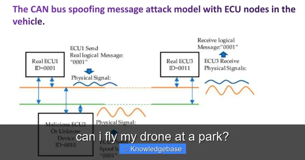 Featured image for can i fly my drone at a park?