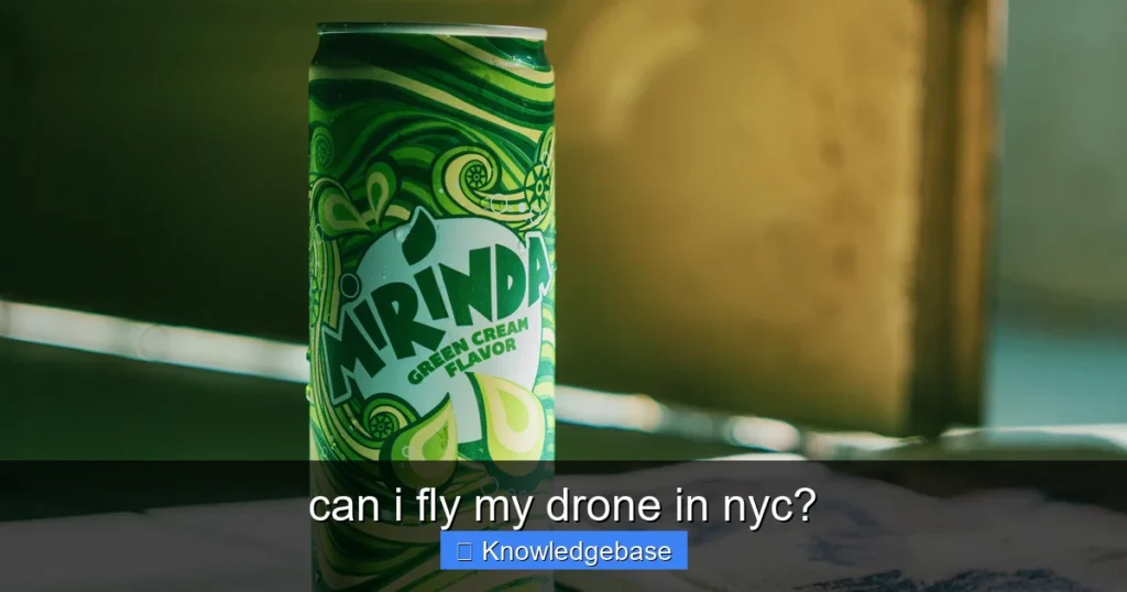 Featured image for can i fly my drone in nyc?