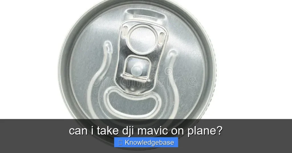 Featured image for can i take dji mavic on plane?