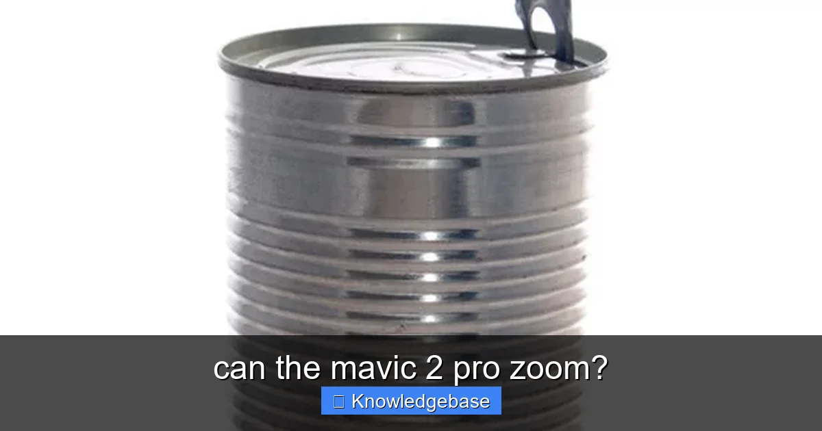 Featured image for can the mavic 2 pro zoom?