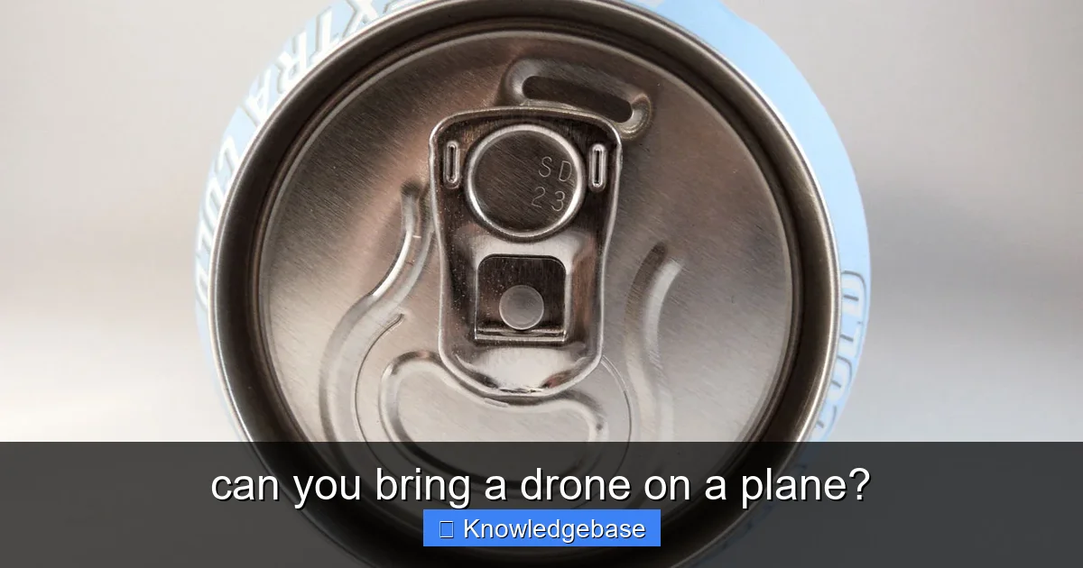 Featured image for can you bring a drone on a plane?