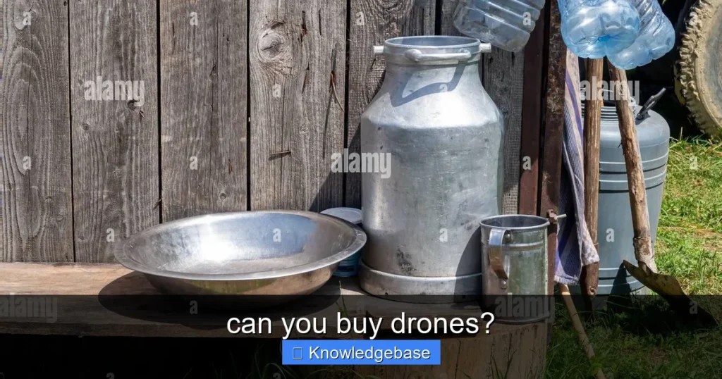 Featured image for can you buy drones?