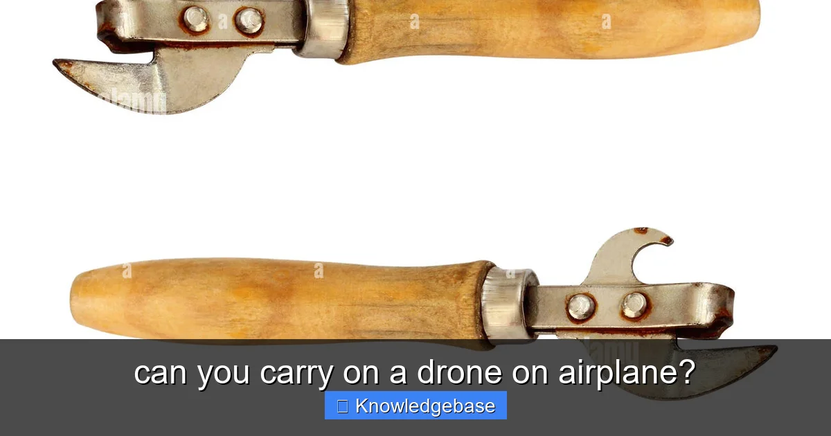 Featured image for can you carry on a drone on airplane?
