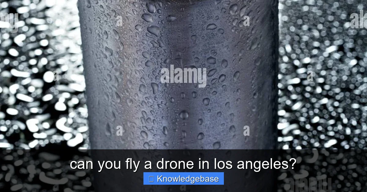 Featured image for can you fly a drone in los angeles?