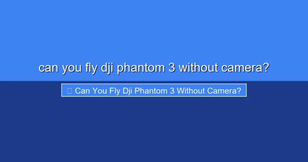 Featured image for can you fly dji phantom 3 without camera?