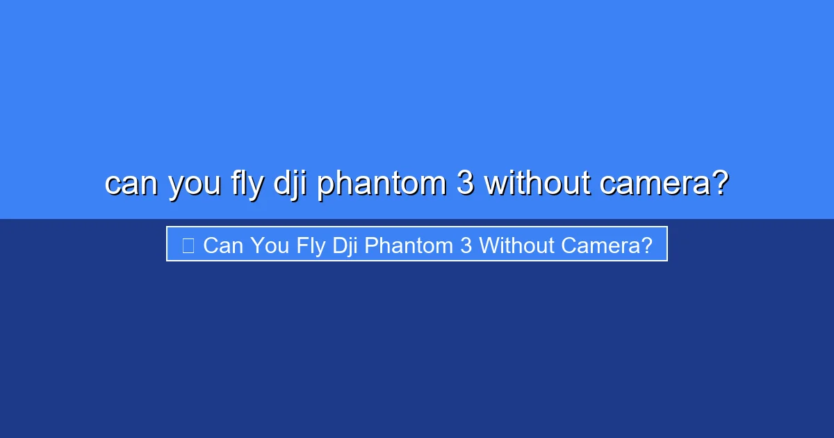 Featured image for can you fly dji phantom 3 without camera?