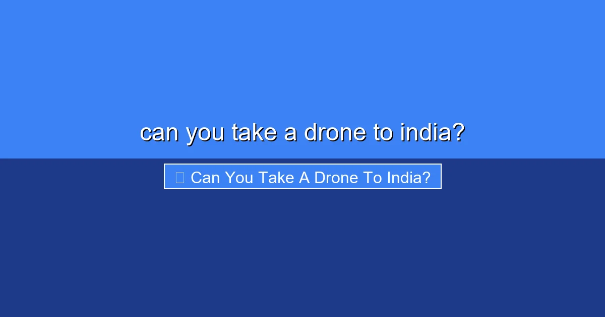 Featured image for can you take a drone to india?