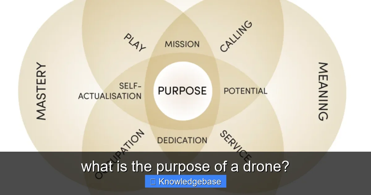 what is the purpose of a drone? - content1 visual guide