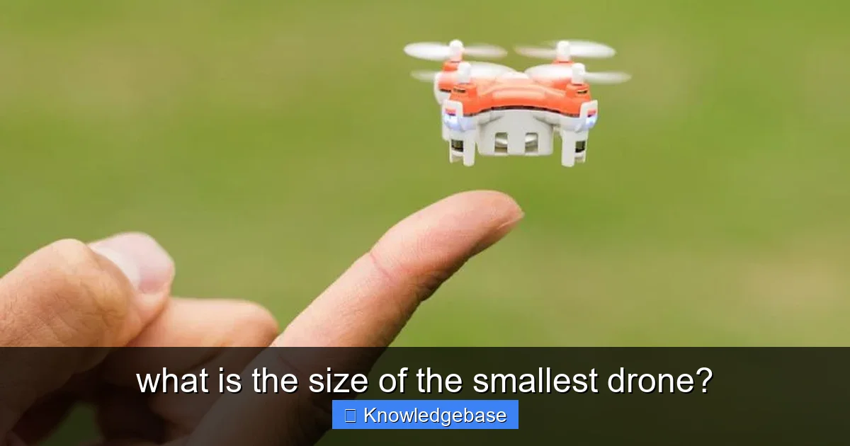 what is the size of the smallest drone? - content1 visual guide