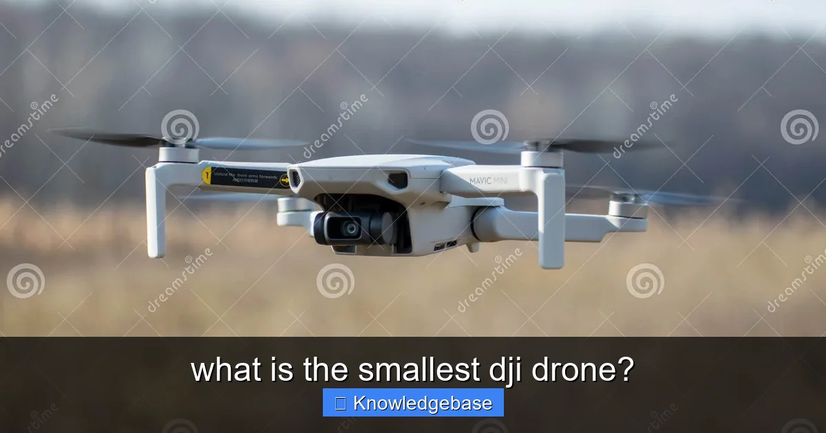 what is the smallest dji drone? - content1 visual guide