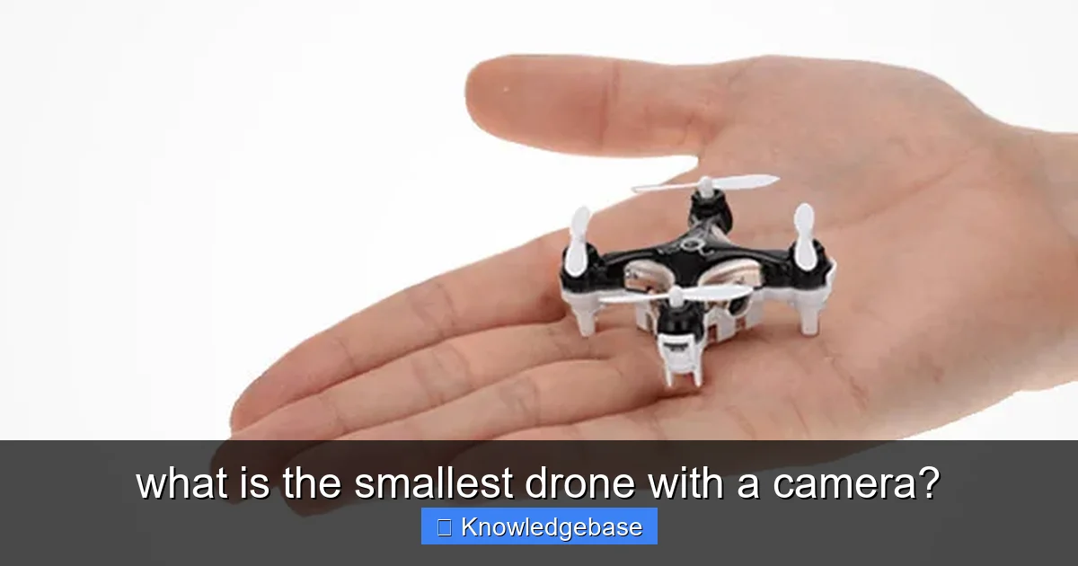 what is the smallest drone with a camera? - content1 visual guide