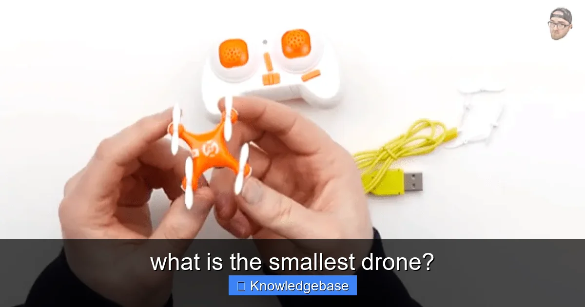what is the smallest drone? - content1 visual guide