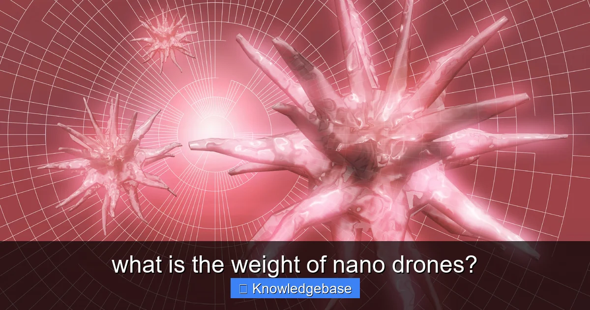 what is the weight of nano drones? - content1 visual guide