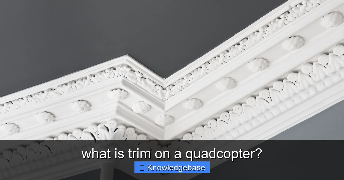 what is trim on a quadcopter? - content1 visual guide