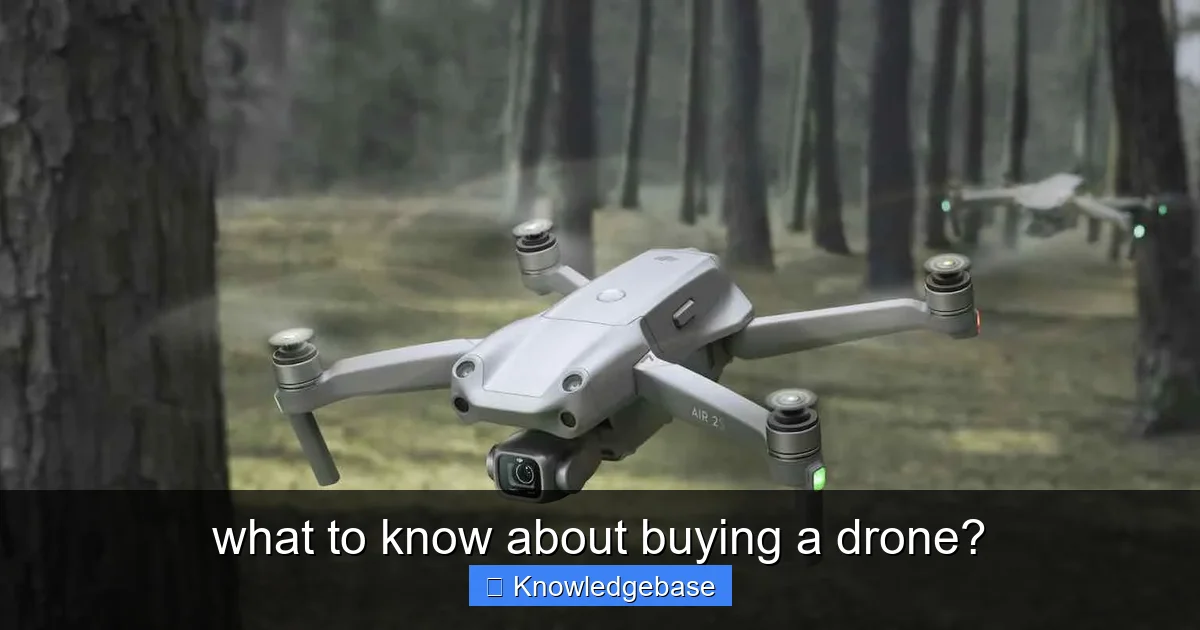 what to know about buying a drone? - content1 visual guide