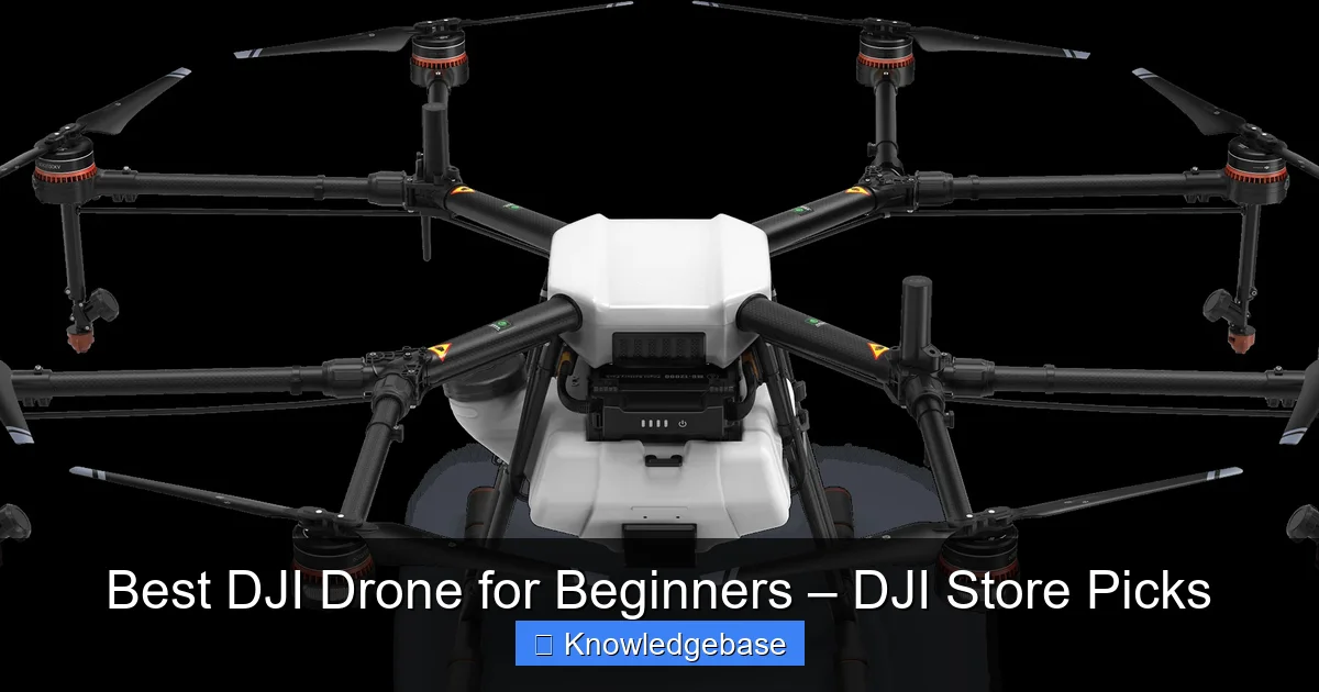 Best DJI Drone for Beginners – DJI Store Picks - content1 visual guide