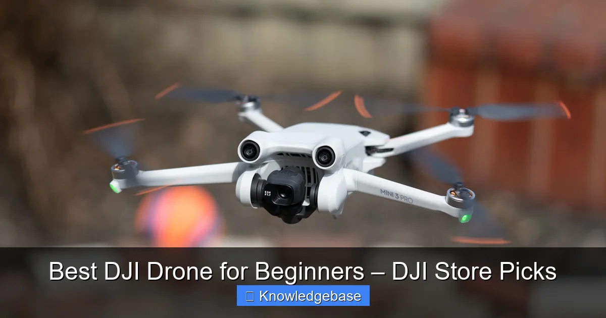 Best DJI Drone for Beginners – DJI Store Picks - content2 visual guide