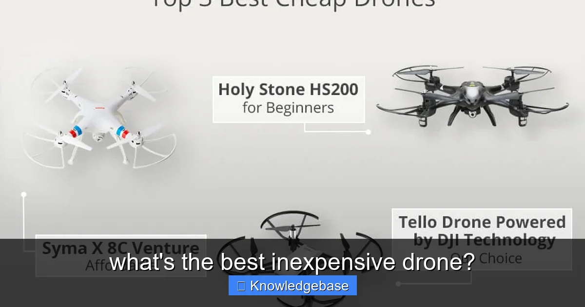 what's the best inexpensive drone? - content1 visual guide