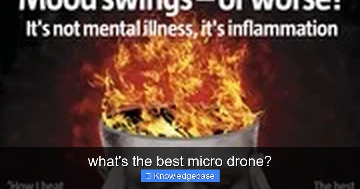 what's the best micro drone? - content1 visual guide