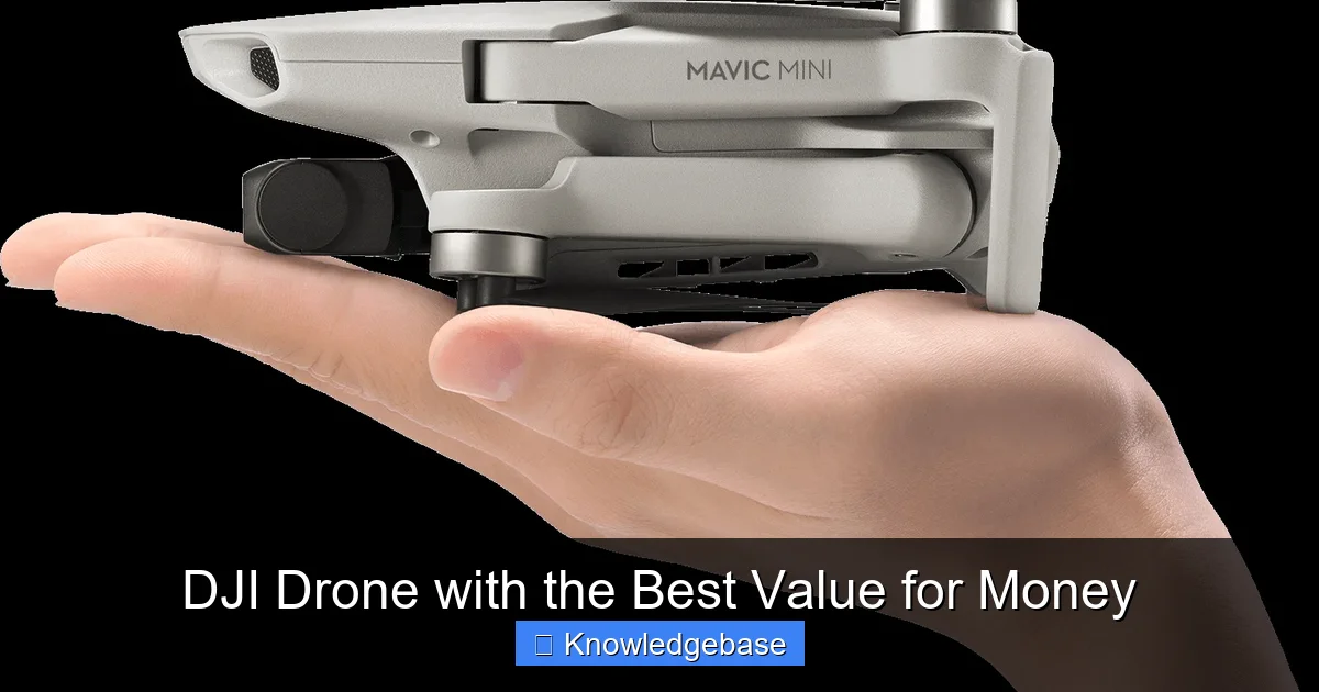 DJI Drone with the Best Value for Money - content1 visual guide