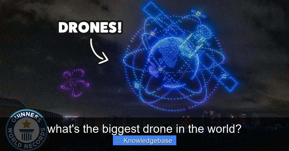 what's the biggest drone in the world? - content1 visual guide