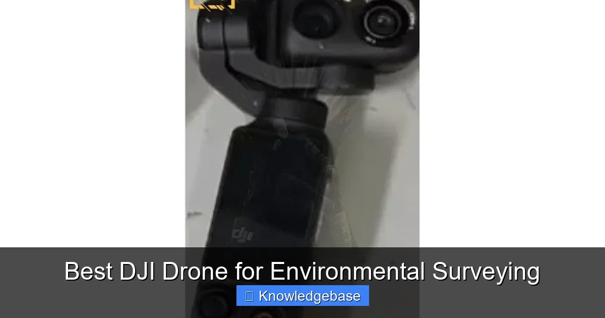 Best DJI Drone for Environmental Surveying - content1 visual guide