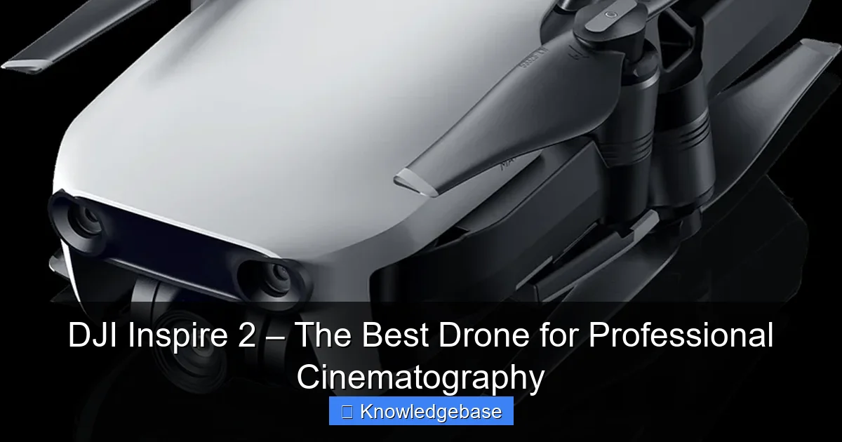 DJI Inspire 2 – The Best Drone for Professional Cinematography - content2 visual guide