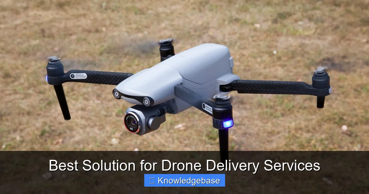 Best Solution for Drone Delivery Services - content1 visual guide