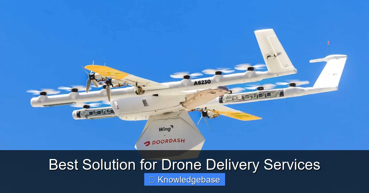Best Solution for Drone Delivery Services - content2 visual guide