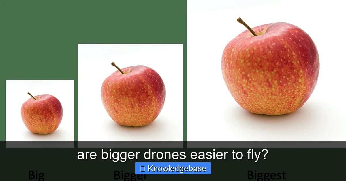are bigger drones easier to fly? - content1 visual guide