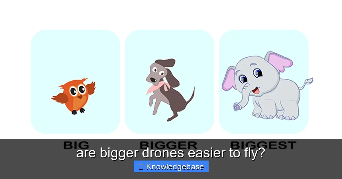 are bigger drones easier to fly? - content2 visual guide