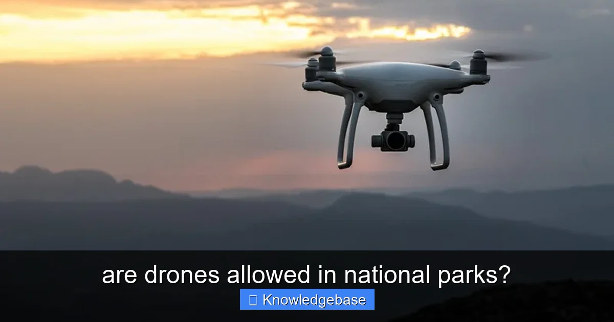 are drones allowed in national parks? - content1 visual guide
