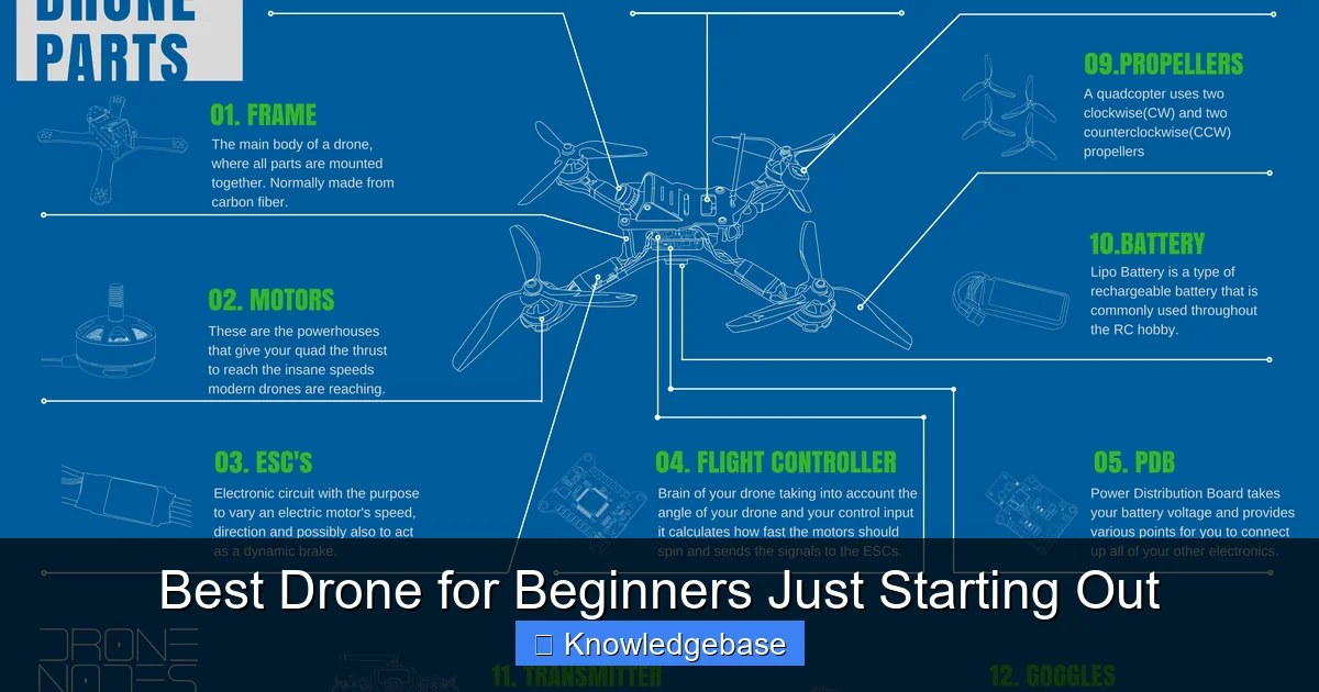 Best Drone for Beginners Just Starting Out - content1 visual guide