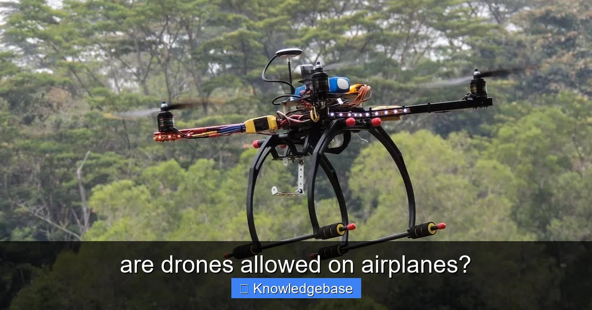 are drones allowed on airplanes? - content1 visual guide