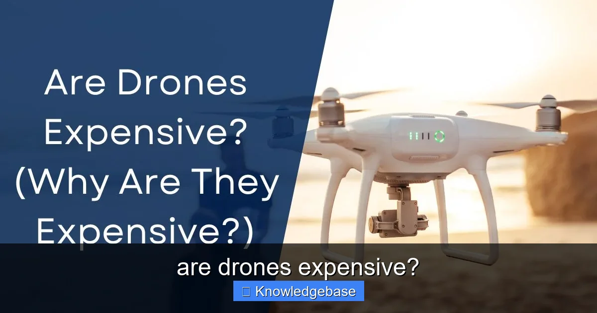 are drones expensive? - content2 visual guide