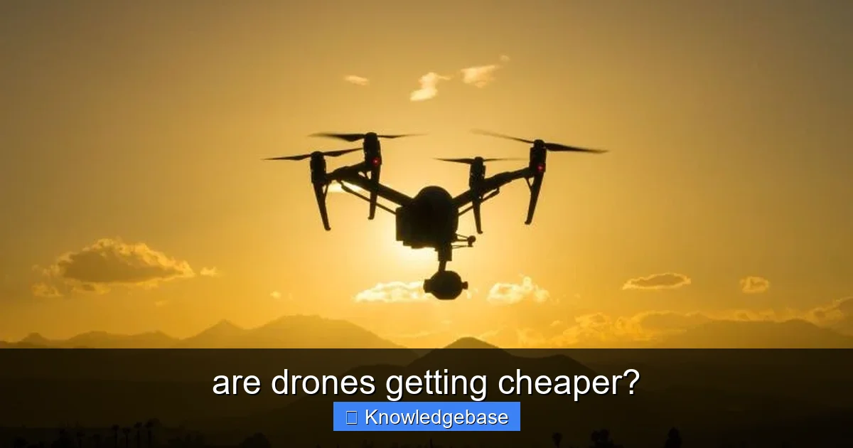 are drones getting cheaper? - content2 visual guide