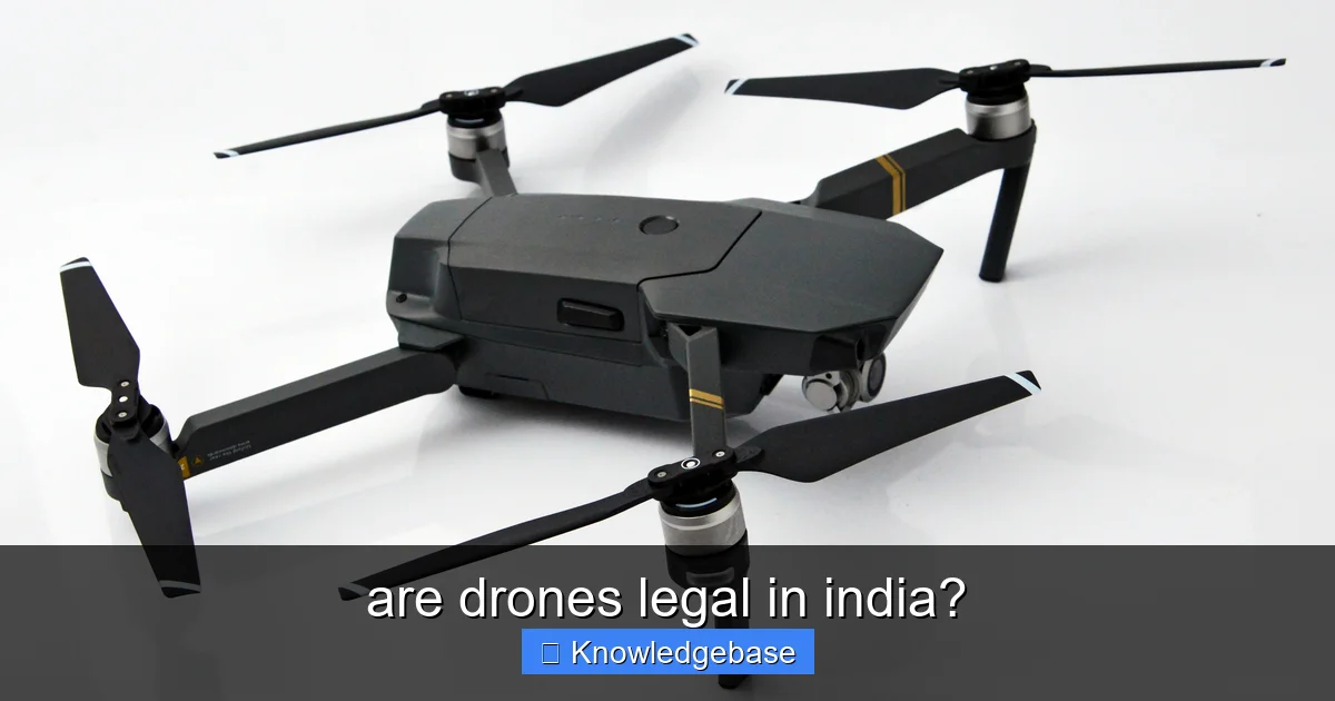 are drones legal in india? - content1 visual guide