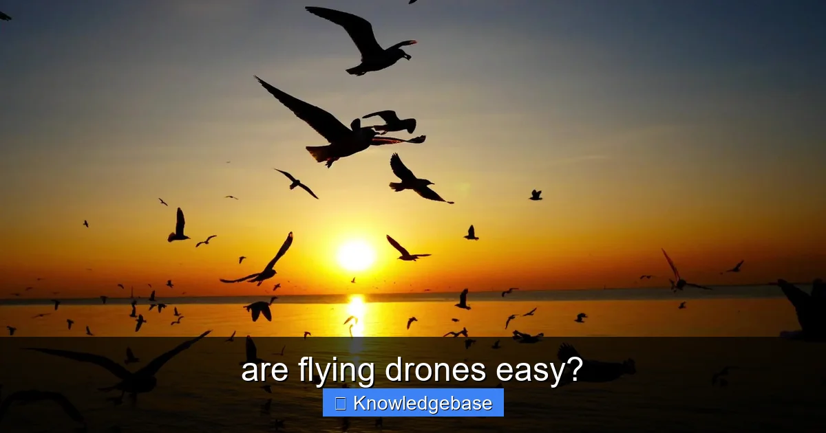 are flying drones easy? - content2 visual guide