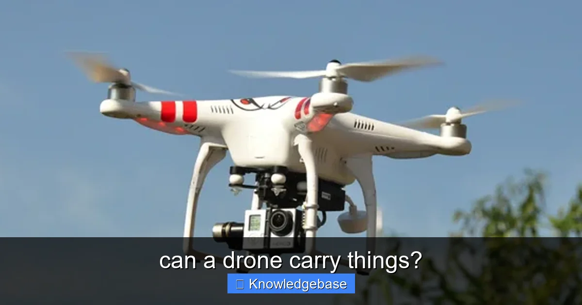 can a drone carry things? - content1 visual guide