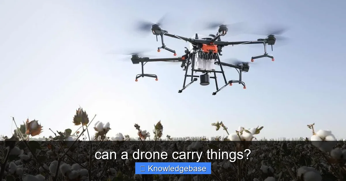 can a drone carry things? - content2 visual guide