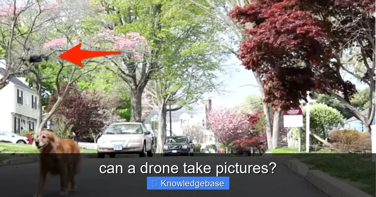 can a drone take pictures? - content2 visual guide