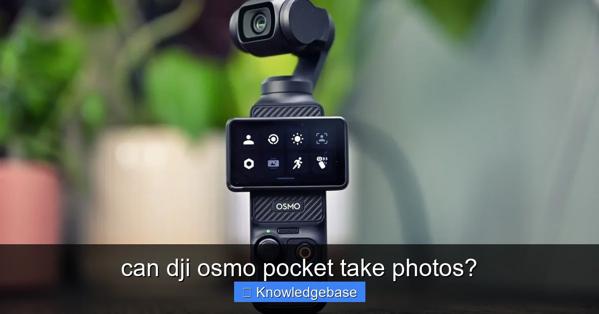 can dji osmo pocket take photos? - content1 visual guide