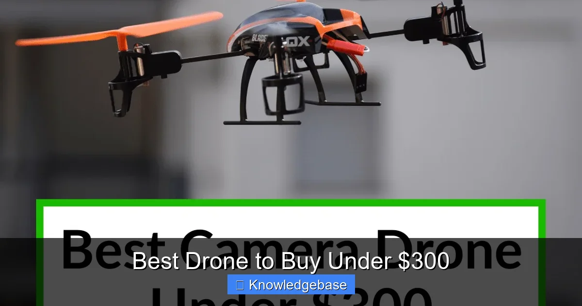 Best Drone to Buy Under $300 - content1 visual guide