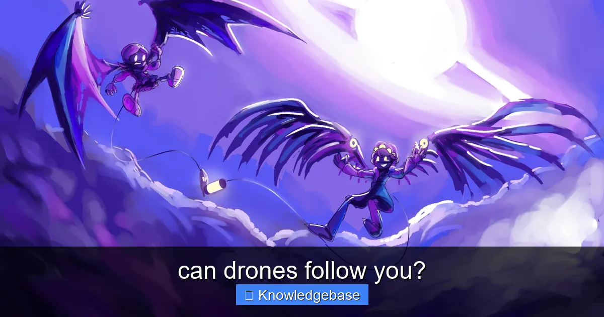 can drones follow you? - content2 visual guide